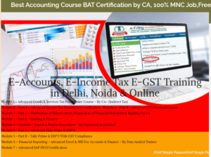 Accounting Course in Delhi, with Free SAP Finance