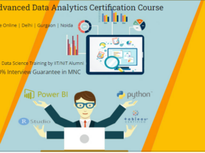 Data Analytics Course in Delhi.110066. Best Online