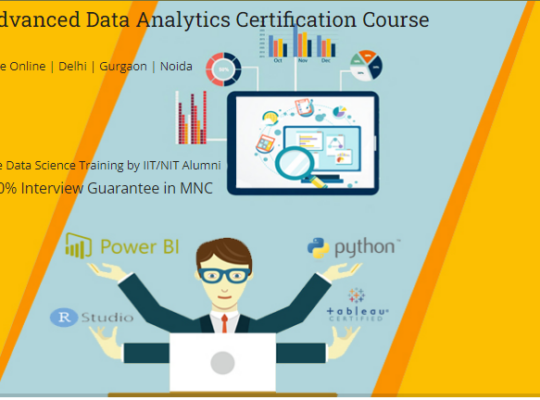 Data Analytics Course in Delhi.110066. Best Online