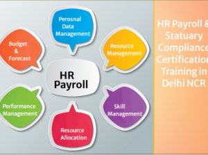 HR Training Course in Delhi,110091 , With Free SAP